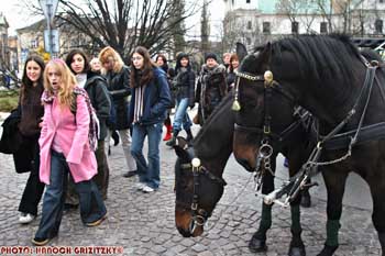 IMG_ (11189)